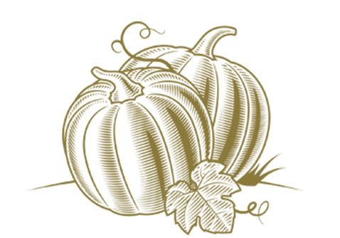 Illustration eines großen Kürbisses